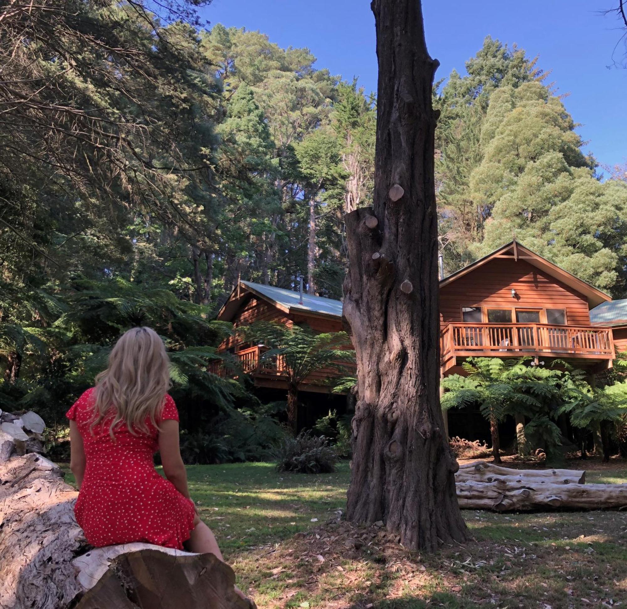 Chudleigh Park Cottages Sassafras エクステリア 写真